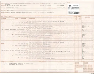 PEDIGREE INFINITY REY D.C.D.G.