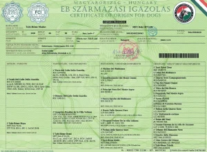 PEDIGREE TAHI REME MADOC